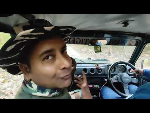 Jim Corbett National Park Safari । सफारी जिम कॉर्बेट की । Gypsy Safari In Jim Corbett Tiger Reserve