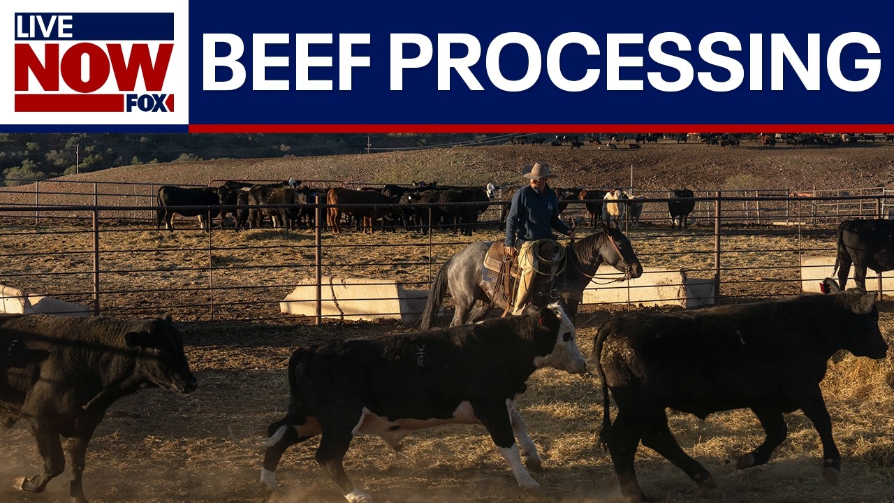 Trump looks to ease beef processing regulations in U.S. after imports backlash