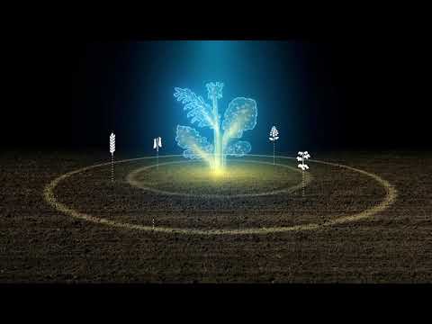 KWS Fit4NEXT - smjese za zelenu gnojidbu