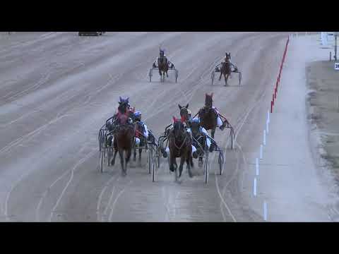 2022.02.19. 07. futam - STALL DE GELE KANARIES DÍJA