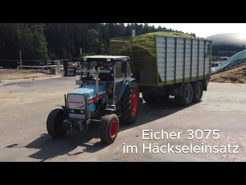 Eicher 3075 im Häckseleinsatz | Fendt | Claas