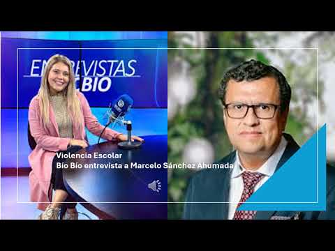 Violencia Escolar Bio Bio 160624