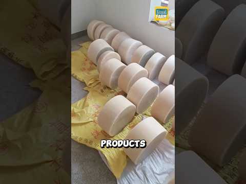 Part of a video titled Why do the Chinese turn insects into wax? #wax #shorts - YouTube