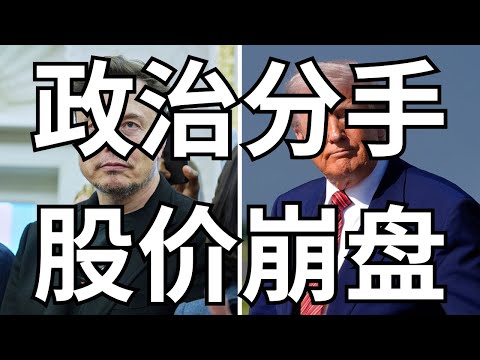 Thumbnail for TSLA彻底崩盘投资者高度恐慌   慌什么? 看多的都给我进来接受心理按摩!