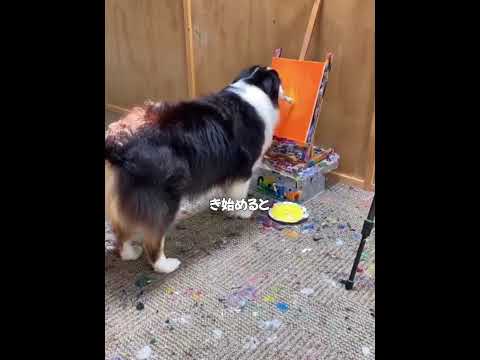 犬は芸術家です