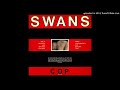 Swans-Your Property