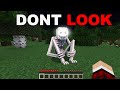 DO NOT Look at Shy Guy in Minecraft