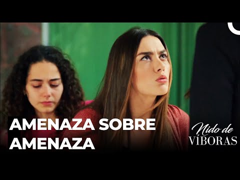 Movimiento Inesperado De La Sra. Bereket - Nido De Víboras