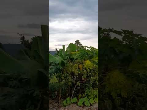 olha a chuva  chegando aqui em Rio do Campo Santa Catarina