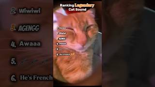 Download lagu Ranking Legendary Cat Sound mp3