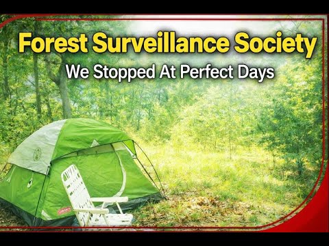 Forest Surveillance Society - We Stopped at Perfect Days (Full Album!)