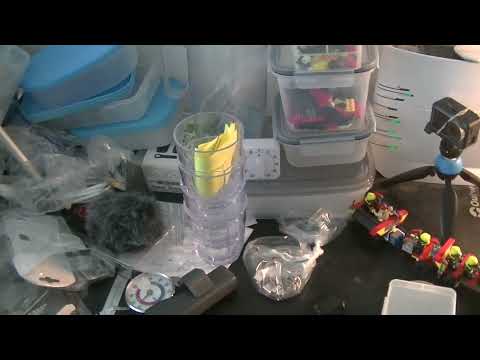 MongoTV_8949 - KIGGER PÅ PARTY TELT - Del 6 - Party Telt Til - MONGO TV World Party Tour