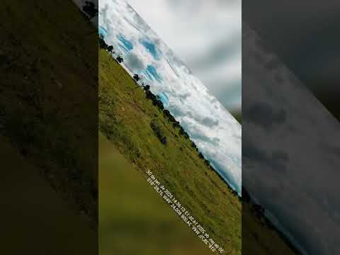 fazenda a venda em Itumbiara GO 700 hectares plantando 80%.  #canaldoboi