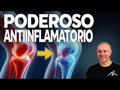 Los INCREÍBLES Beneficios del Laurel para tu Salud. ¡Empieza HOY a Usarlo!