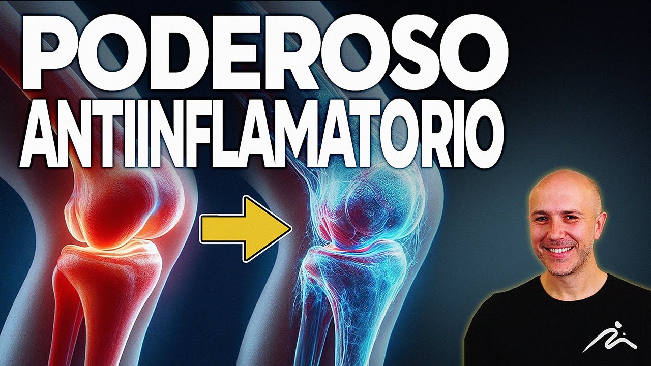 Los INCREÍBLES Beneficios del Laurel para tu Salud. ¡Empieza HOY a Usarlo!