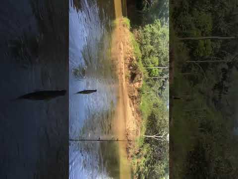 Piau desceu de uma vez só #pescador  #pescaria #minasgerais