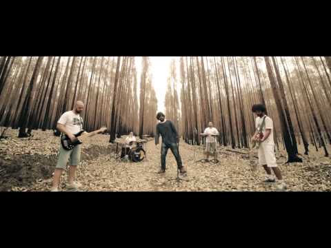Rezei video