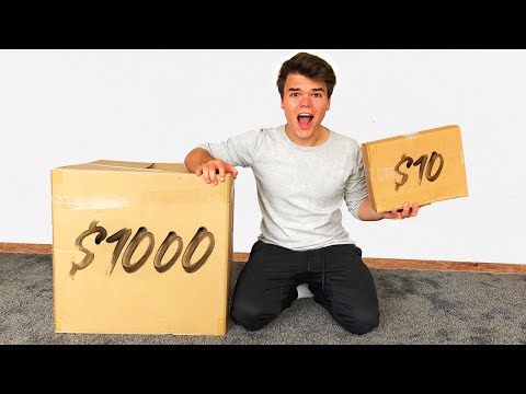 $10 VS $1000 MYSTERY BOX! (INSANE)