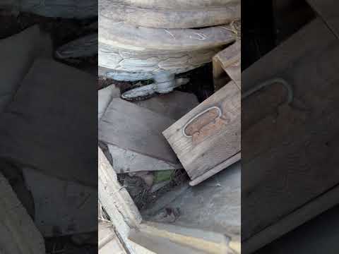 Cementerio Gessler Santa Fe .. no te olvides darle like👍