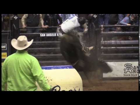 Black Gold Angelo 2017