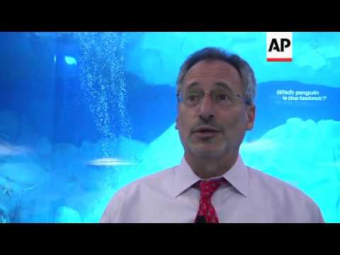 Detroit Zoo Unveils $30M Home For Penguins