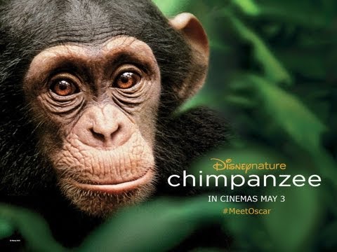 Movie Emporium » Oscar the chimpanzee