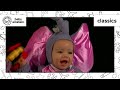 World Animal Adventure Part 3 Animal Videos For Kids Baby Einstein