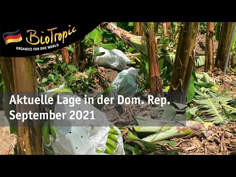 Volker Schmidt von BioTropic: Bericht zu der aktuellen Lage in der Dom. Rep.