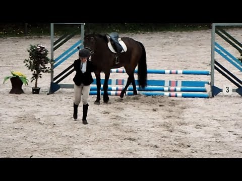 Farbowanie włosów szarych środków ludowej Balsam do renowacji włosy opinii głęboka ponownych
