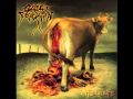 Cattle Decapitation - Chummified 