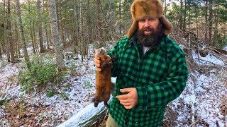 Our BEST DAY Fisher and Marten Trapping, EVER!