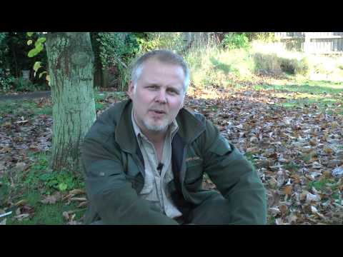 Wildlife Gadget Man - My Autumn