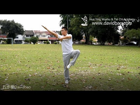 Five Stance Form 五步拳 (Wu Bu Quan) - Kung Fu Wushu Changquan