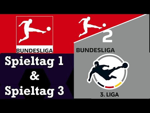 Die Bundesliga beginnt und keiner der beiden Aufsteiger hat Verloren.