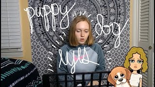 Puppy Dog Eyes- Ida Laurberg Cover