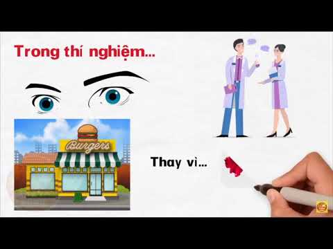 Những đòn TÂM LÝ trong BÁN HÀNG hiệu quả || Học Viện Doanh Nhân APEC Việt Nam