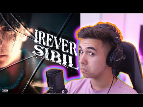 Un debut foarte bun! Dhali - Ireversibil / Pufulete reacționează