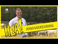 HEA! Genieten van de geiten bij jongveekeuring in Harkema