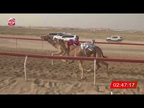  ش 9 (ترف) لـ سرور منصور سالمين المنصوري 7:52 , شارة الديوان 3 2026/10/06 سويحان ايذاع  