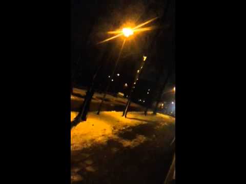 15.2.13 Nazi Demo der linken