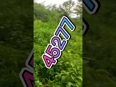 chácara 2.700 metros valor 95.000 no novo gama goias