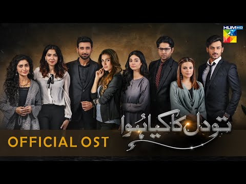 Tou Dil Ka Kia Hua - [ Official OST 🎵 ] - Singer - Shuja Hyder - HUM TV