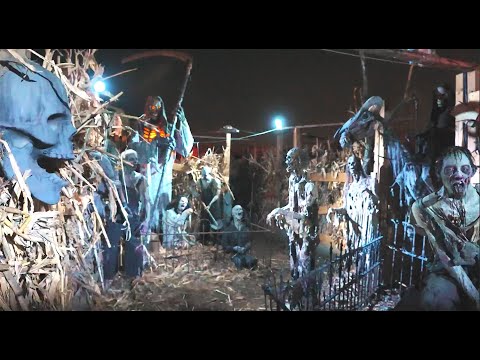 Heebie Jeebies 2024 - Highlight 3