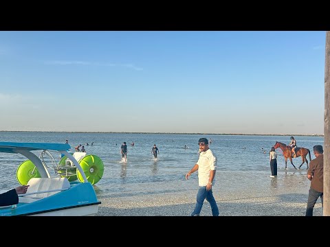 Mangrove Beach Umm Al Quwain | UAE| Best Beach to visit in UAE #mangrove #beachvibes #dubai #travel