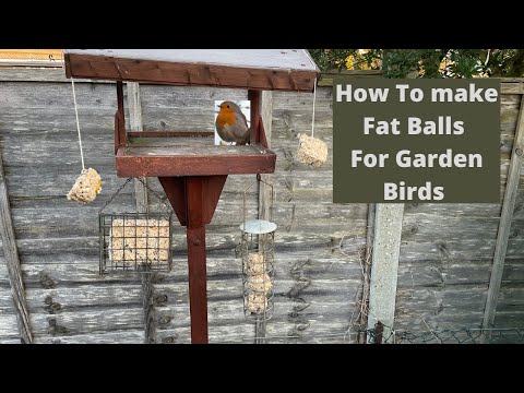 How To Make Fat Balls For Garden Birds - Bird Seed Cake Recipe