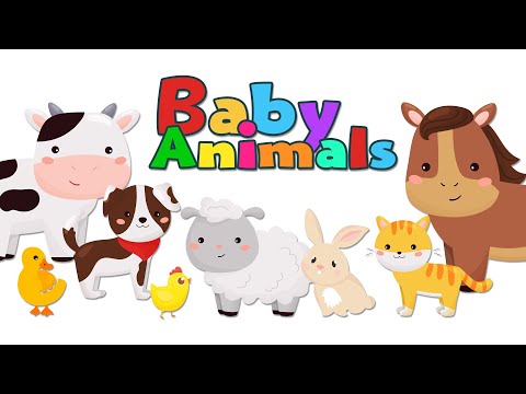 Baby Animals Kids vocabulary - Learn English for kids - English educational video