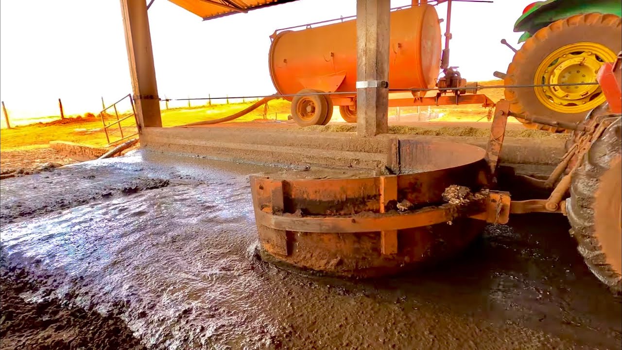 RAPANDO A PISTA DE TRATO DO COMPOST BARN!