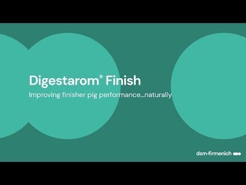 Powder pig feed vitamin premix - dsm, packaging size: 25 kg,...