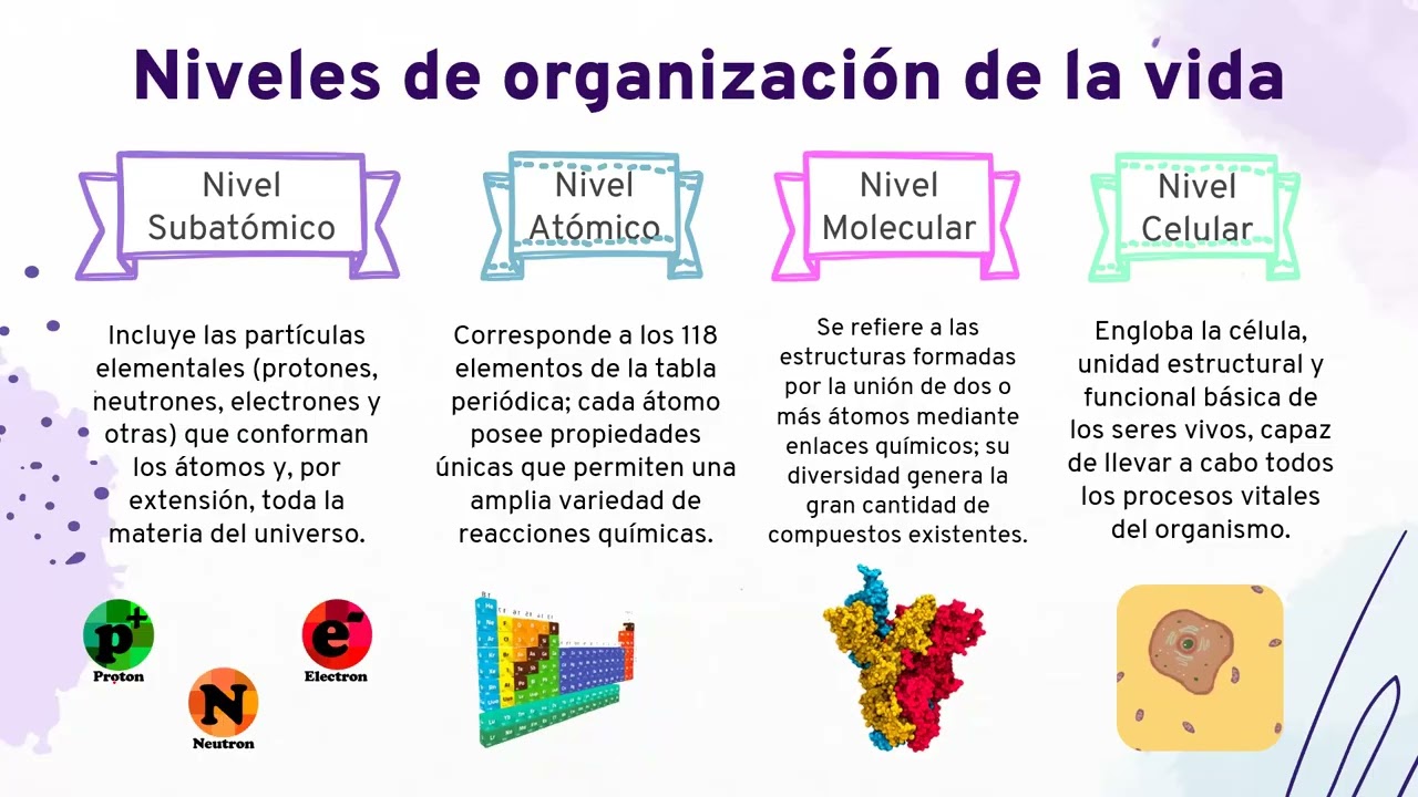 Tema #1: Introducción a la Biología