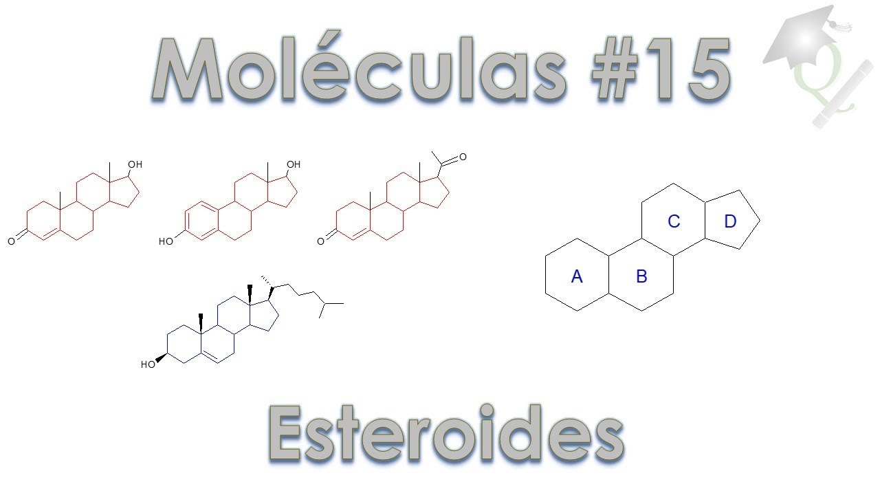 Uma Molécula por Dia #15 Esteroides (Testosterona, Progesterona, Estradiol, etc)